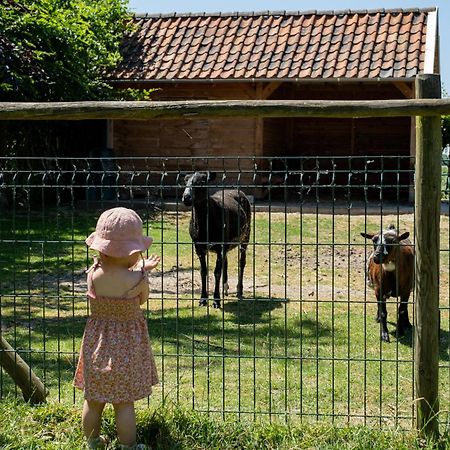 Hoeve De Binnenplaets Schimmert Exteriér fotografie