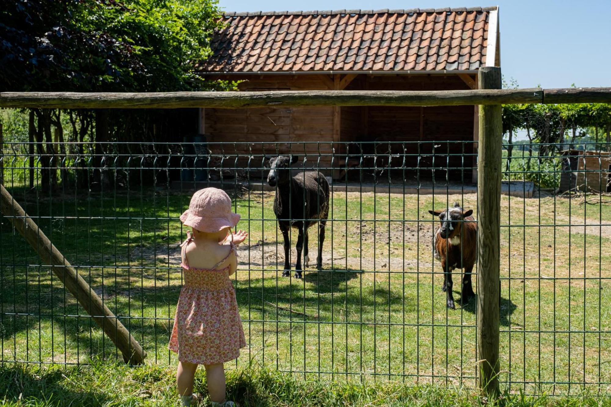 Hoeve De Binnenplaets Schimmert Exteriér fotografie