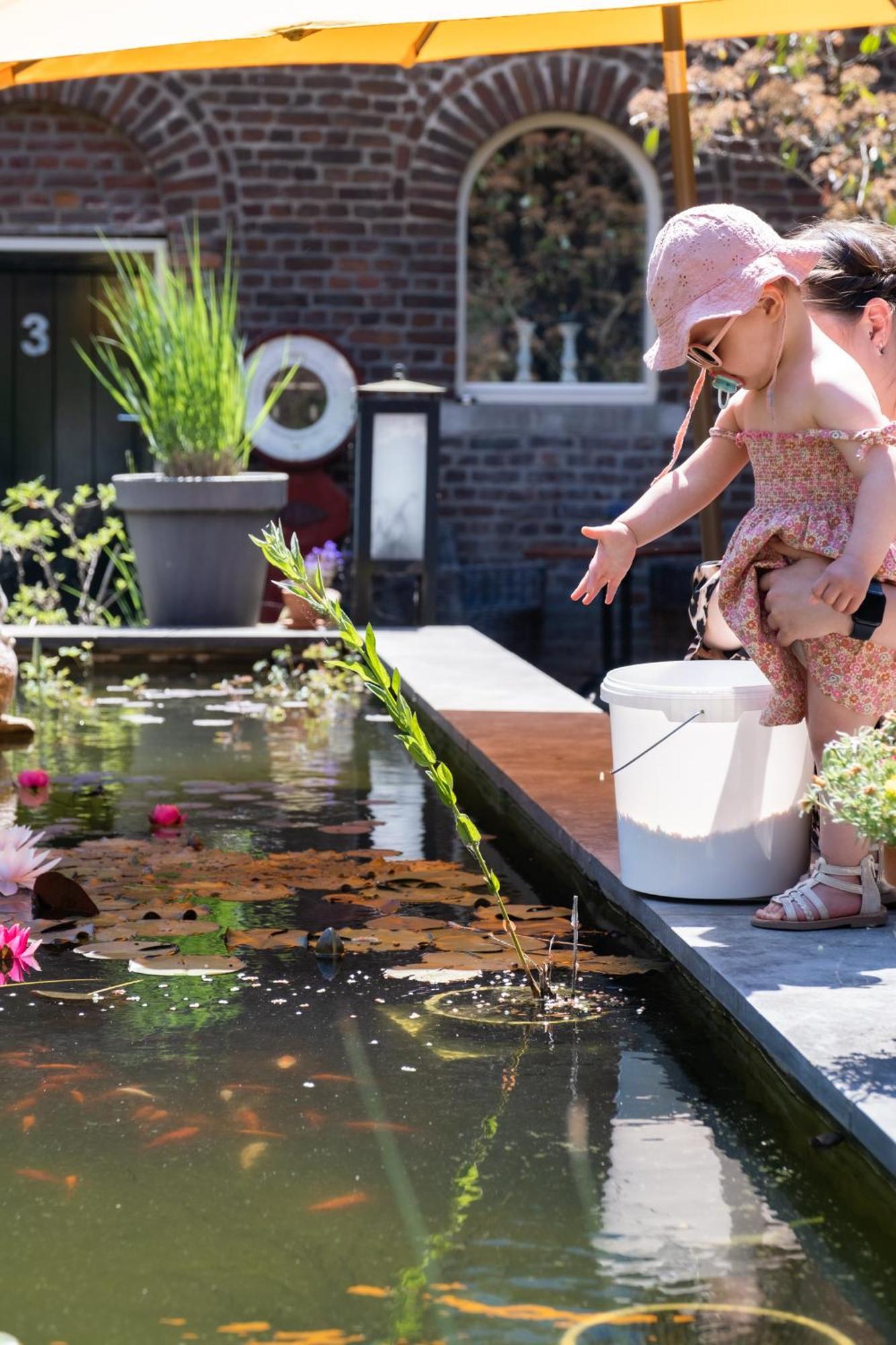 Hoeve De Binnenplaets Schimmert Exteriér fotografie